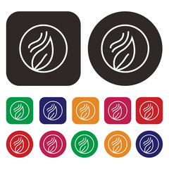 Leaf icon / Ecology icon