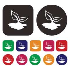 Leaf icon / Ecology icon