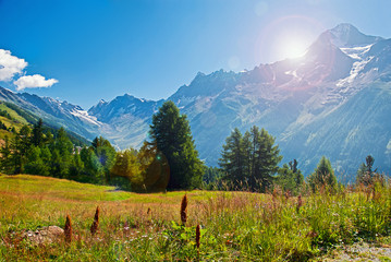 Sommerstimmung in den Alpen 