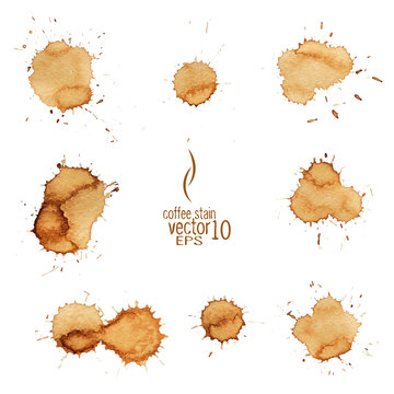 Coffee stain watercolor vector.