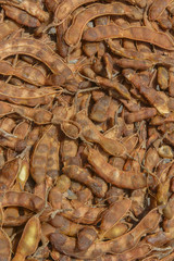 tamarind background