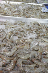 Fresh Shrimp in Thai market