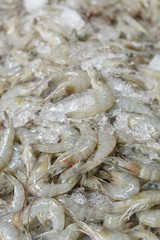 Fresh Shrimp in Thai market