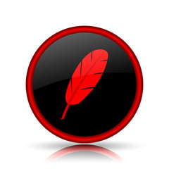 Feather icon