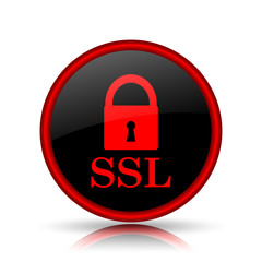 SSL icon