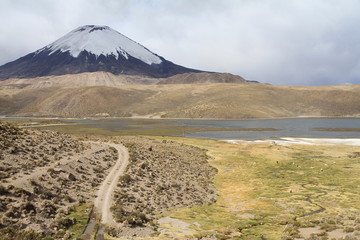 Der Vulkan Parinacota im P.N. Lauca (Chile)