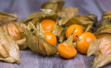 physalis