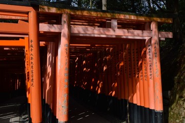 Fototapeta na wymiar Fushimi Inari-Taisha Schrein in Kyoto, Japan