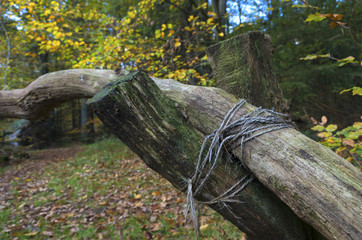 detail of a wooden gate