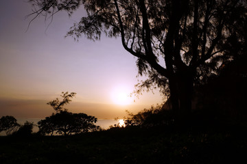 Early Morning Sunrise through the trees over an island and ocean