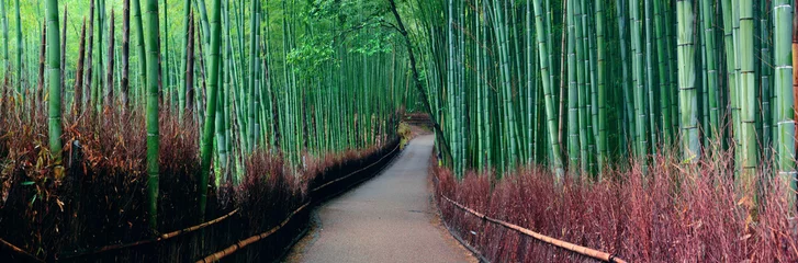Door stickers Nature Bamboo Grove