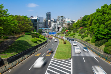 東京　代々木公園　道路