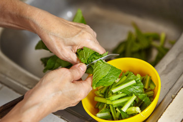 Cutting vegetable