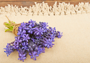Fototapeta premium Small bouquet of hyacinth