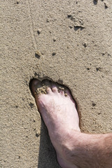 Foot in the sand