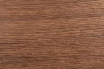 Texture of wood background closeup