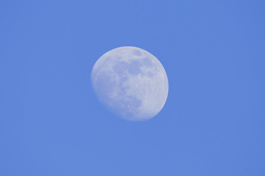 Waning gibbous moon during daytime