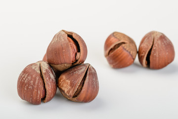 dried hazelnut