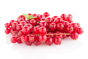 Red Currants