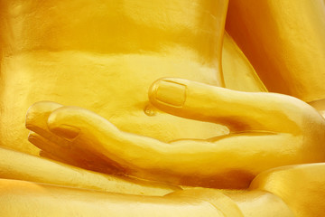 Gold hand of Buddha statue