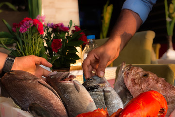 istanbul fisch essen restaurant 