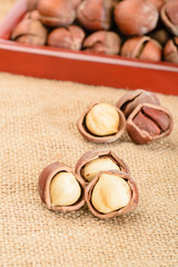 dried hazelnut