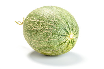 netted melon