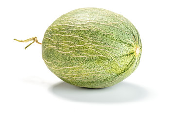 netted melon