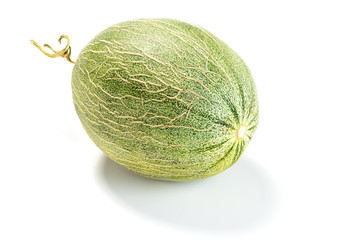 netted melon