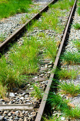 Naklejka premium Alte Eisenbahnschienen mit Gras