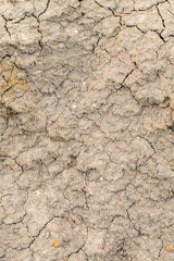 dry soil cracked earth texture
