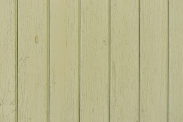 Hellgrüne Holzdielen im Shabby style