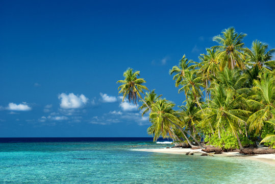 einsamer Strand mit Palmen auf den Malediven