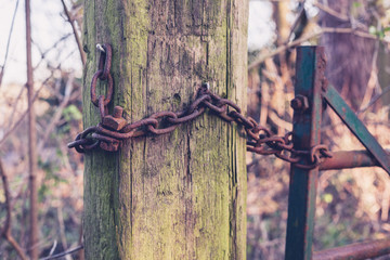 Fence and iron chain in a forest