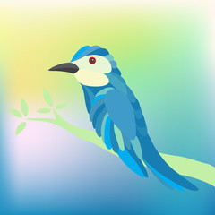 Birds vector..