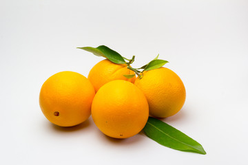 Naranjas recién recolectadas