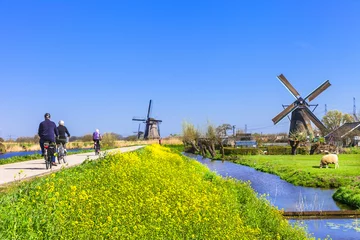 Fototapeten activities in Holland countryside © Freesurf