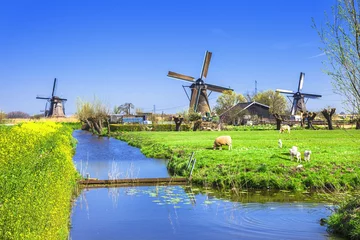 Türaufkleber traditional Holland countryside © Freesurf