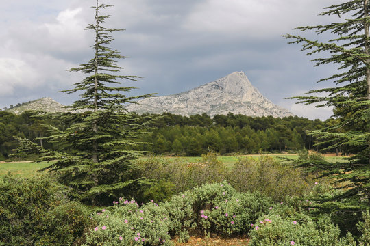La sainte Victoire, à aix en Provence