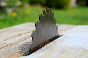 Piła tarczowa © mari00sh