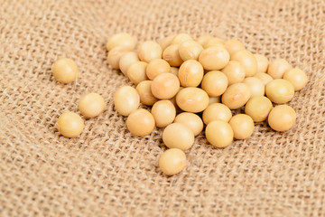 soybean