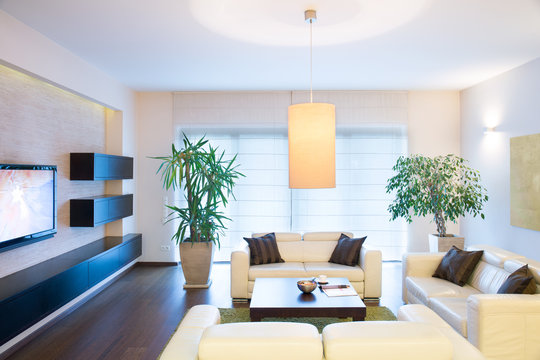 Stylish modern tv room