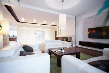 Comfortable couches and coffee table