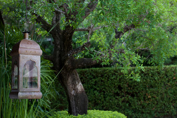 Lantern