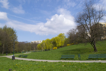 Green park in residential area in spring