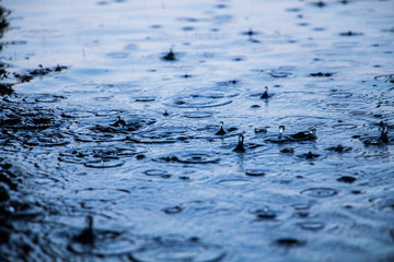 Rainy day