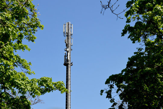 Handymast zwischen B&auml;umen