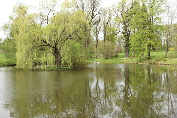 Fototapeta na wymiar lake in park