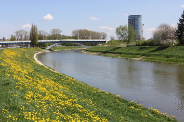 Wislok river in Rzeszow in Poland