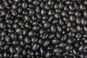 black bean